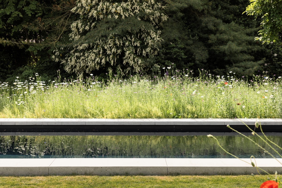 Afbeelding project Bouwkundig | liner | hoogwaterlijn zwembad